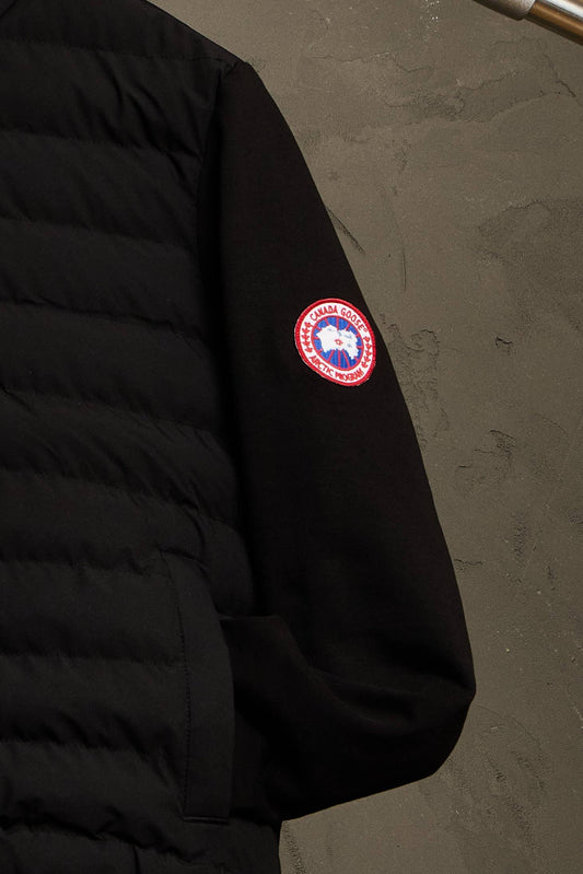 Canada goose hybridge