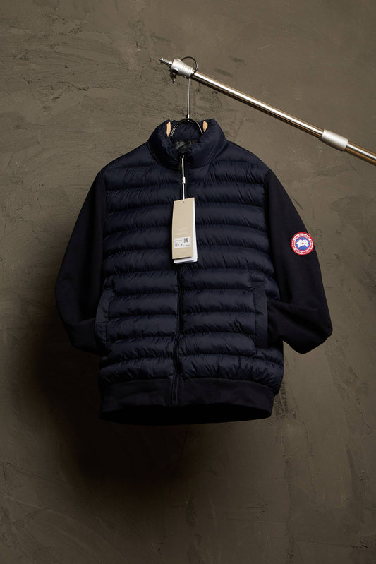 Canada goose hybridge