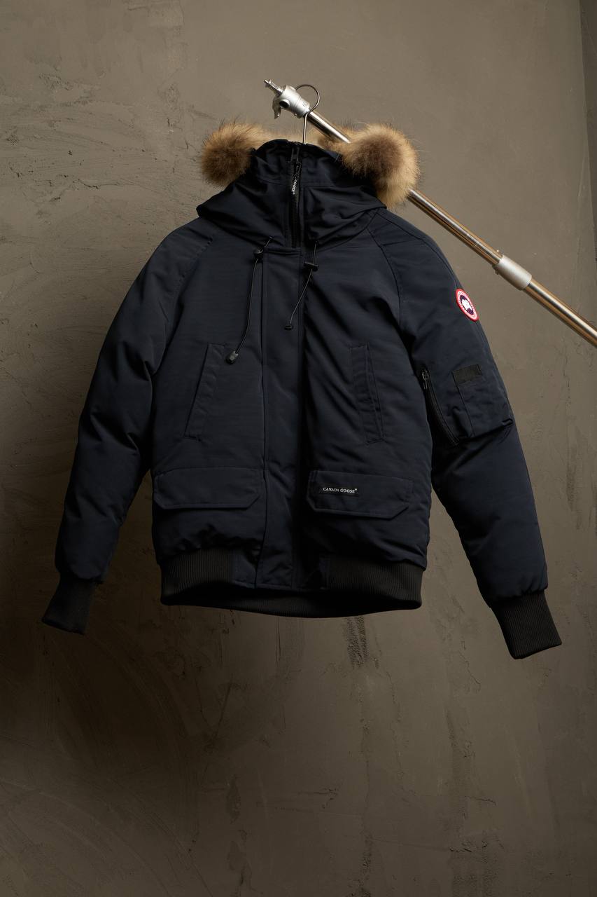 Canada goose BOMBER