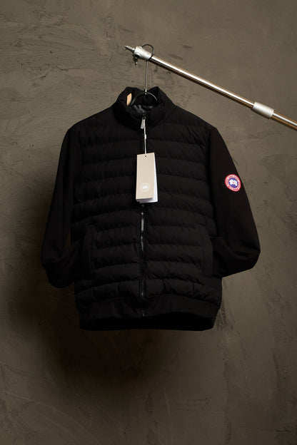 Canada goose hybridge